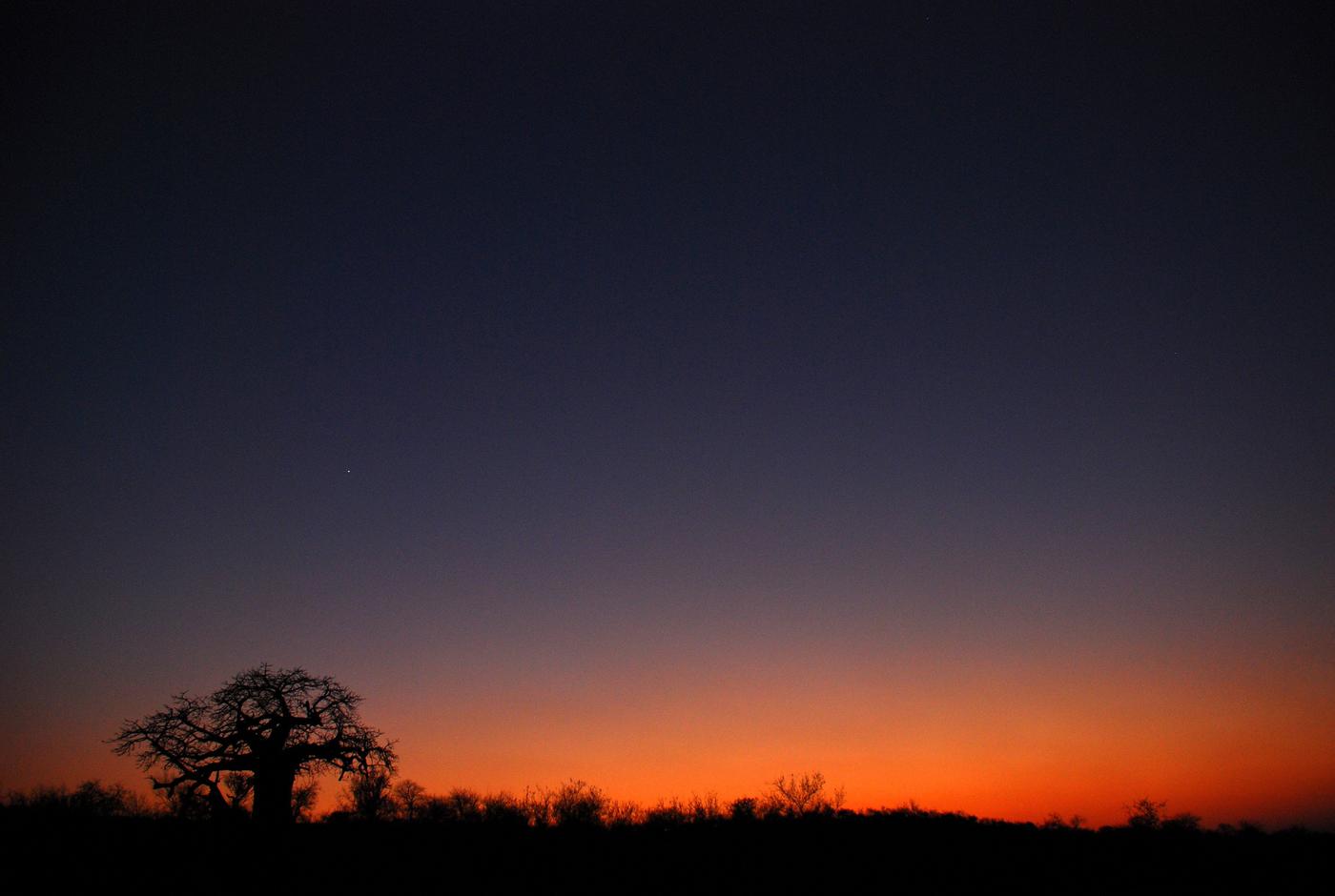 review-in-conservation-biology-remote-sensing-and-gis-for-ecologists